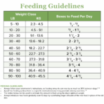 Rayne Nutrition Plant-Based Chunky Stew Wet Dog Food, photo 4