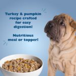 Bil-Jac Sensitive Solutions Digestive & Immune Support Turkey & Pumpkin Recipe in Gravy – Bil-Jac Wet Dog Food, photo 2