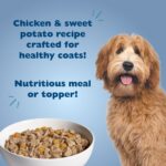 Bil-Jac Sensitive Solutions Skin & Stomach Support Chicken & Sweet Potato Recipe in Gravy – Bil-Jac Wet Dog Food, photo 2