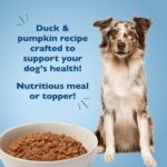 Bil-Jac Pâté Platters with Duck & Pumpkin Wet Dog Food, photo 3
