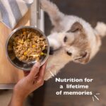 Bil-Jac Hearty Stew with Beef & Barley Small Chunk Wet Dog Food, photo 4
