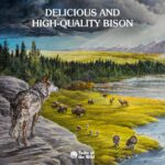 Taste of the Wild High Prairie Canine Recipe with Bison in Gravy Wet Dog Food, photo 3