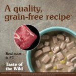 Taste of the Wild Southwest Canyon Canine Recipe with Beef in Gravy Wet Dog Food, photo 2