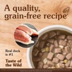 Taste of the Wild Wetlands Canine Recipe with Fowl in Gravy Dog Food Topper, photo 2