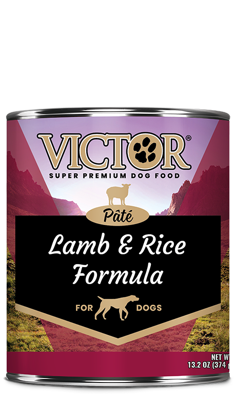 Victor Classic Lamb and Rice Formula Pâté Wet Dog Food
