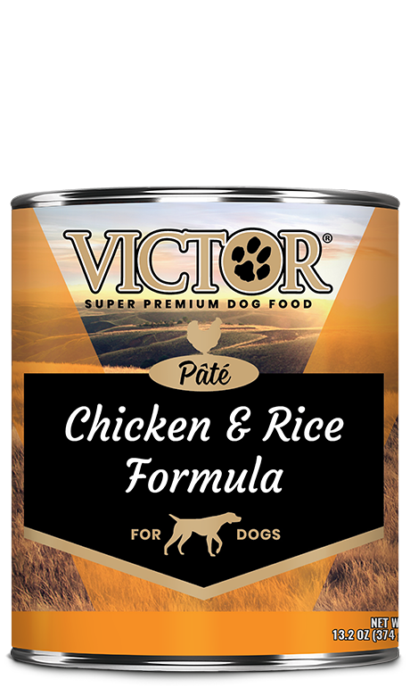 Victor Classic Chicken and Rice Formula Pâté Wet Dog Food