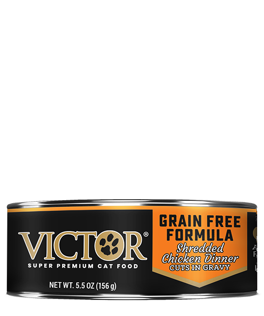 Victor Select Grain Free Shredded Chicken Dinner in Gravy Wet Dog Food