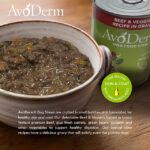 AvoDerm Grain Free 12 Cans- Stew Beef & Veggies Recipe In Gravy Wet Dog Food, photo 4