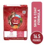Purina ONE Skin and Coat Dry Dog Food