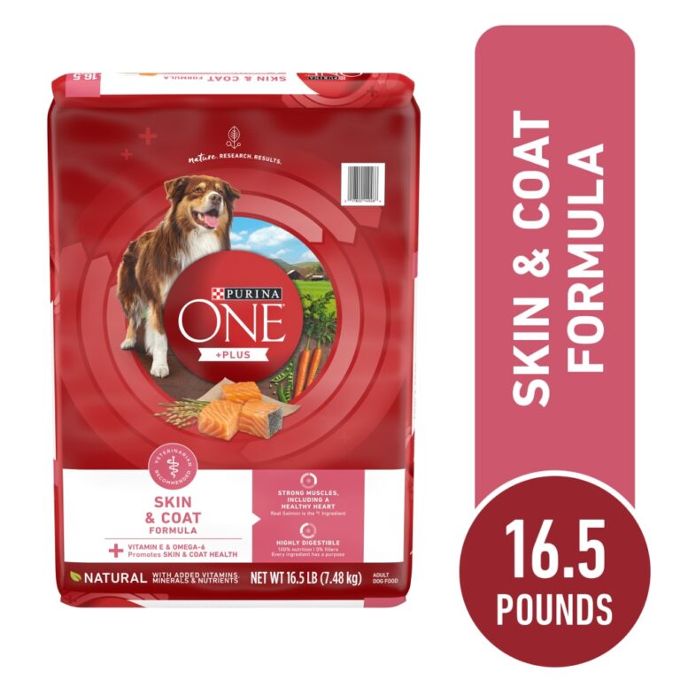 Purina ONE Skin and Coat Dry Dog Food