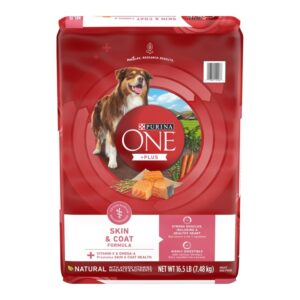 Purina ONE Skin and Coat Dry Dog Food