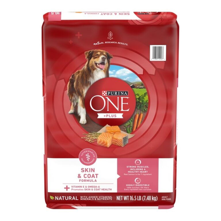 Purina ONE Skin and Coat Dry Dog Food