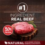 Purina ONE True Instinct Muscle Support Beef Dry Dog Food, photo 4