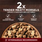 Purina ONE True Instinct Muscle Support Beef Dry Dog Food, photo 3