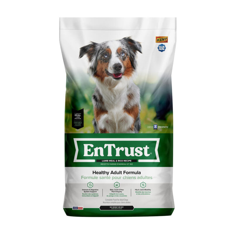 Blue Seal EnTrust Healthy Adult Formula - Lamb & Rice Recipe Dry Dog Food