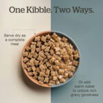 Now Fresh Good Gravy Small Breed Senior Salmon Dry Dog Food, photo 5