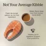 Now Fresh Good Gravy Small Breed Senior Salmon Dry Dog Food, photo 6