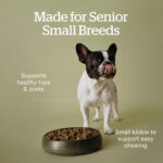 Now Fresh Good Gravy Small Breed Senior Salmon Dry Dog Food, photo 4