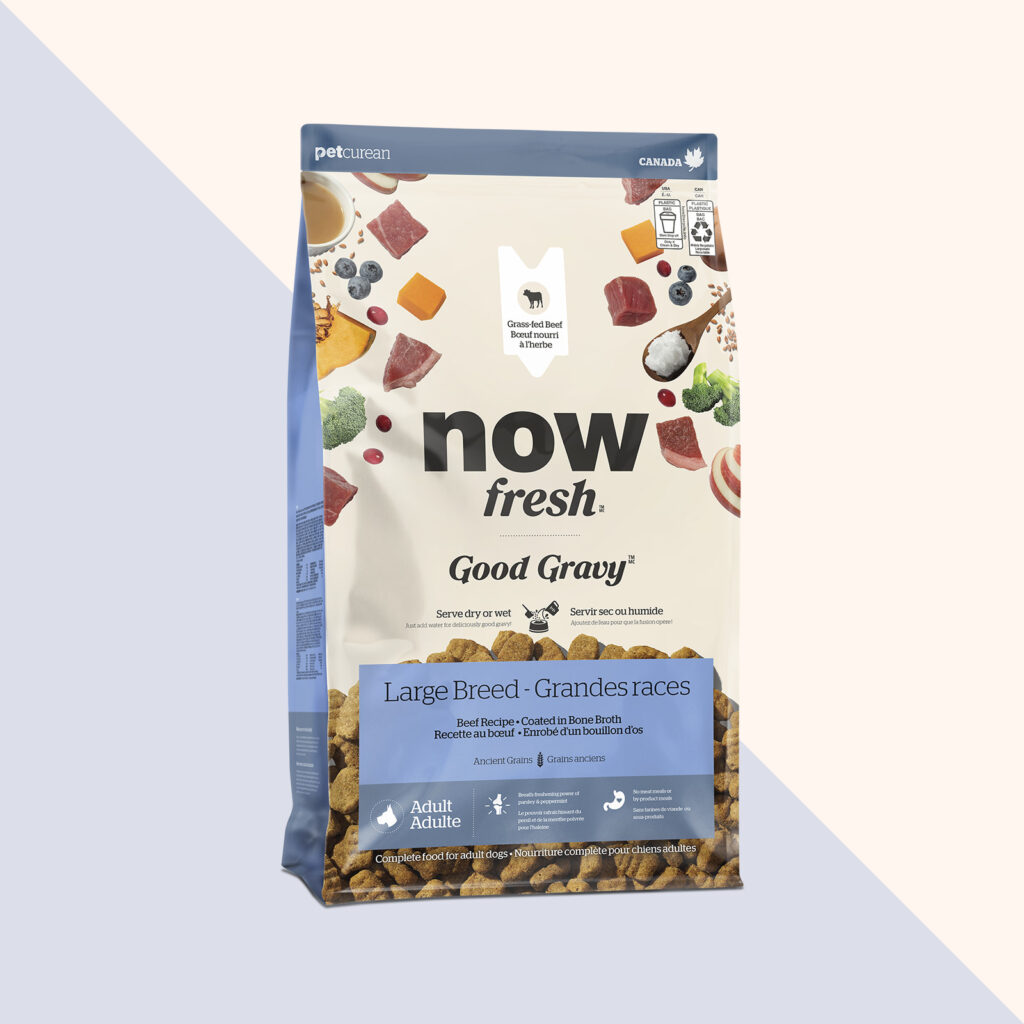 Now Fresh Good Gravy Large Breed Adult Beef Dry Dog Food
