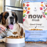 Now Fresh Good Gravy Large Breed Adult Beef Dry Dog Food, photo 2