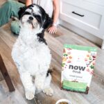 Now Fresh Good Gravy Chicken Small Breed Dry Dog Food, photo 11