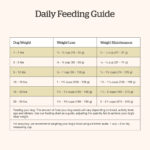 Now Fresh Good Gravy Chicken Small Breed Dry Dog Food, photo 7
