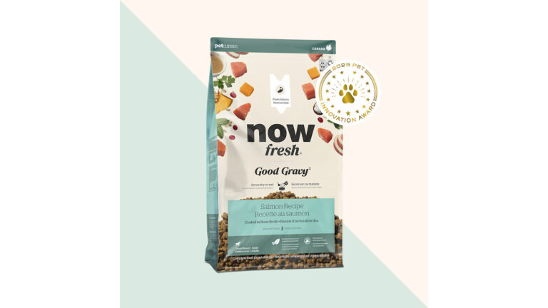 Now Fresh Good Gravy Salmon Small Breed Dry Dog Food