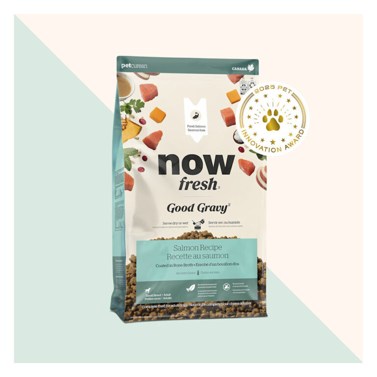 Now Fresh Good Gravy Salmon Small Breed Dry Dog Food