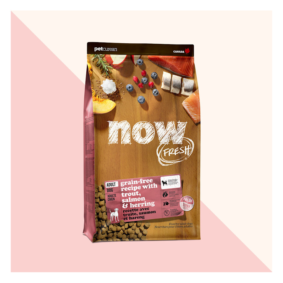 Now Fresh Trout, Salmon & Herring Grain-Free Dry Dog Food