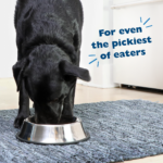 Bil-Jac Picky No More Medium & Large Breed Dry Dog Food, photo 6