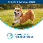 Fromm Nutritionals Digestive Support Low Fat Chicken & Oatmeal Recipe Dry Dog Food, photo 4