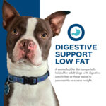 Fromm Nutritionals Digestive Support Low Fat Chicken & Oatmeal Recipe Dry Dog Food, photo 3