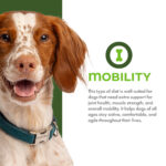 Fromm Nutritionals Mobility Chicken & Whole Oats Recipe Dry Dog Food, photo 3