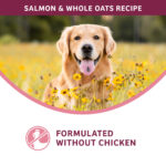 Fromm Nutritionals Sensitive Skin & Stomach Salmon & Whole Oats Recipe Dry Dog Food, photo 4