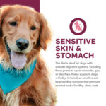 Fromm Nutritionals Sensitive Skin & Stomach Salmon & Whole Oats Recipe Dry Dog Food, photo 3
