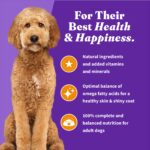 Halo Holistic Cage-Free Chicken & Brown Rice Recipe Adult Dry Dog Food, photo 8