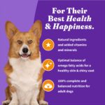 Halo Holistic Grain Free Cage-Free Chicken & Sweet Potato Recipe Small Bree Dry Dog Food, photo 8