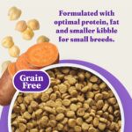 Halo Holistic Grain Free Cage-Free Chicken & Sweet Potato Recipe Small Bree Dry Dog Food, photo 9