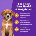 Halo Holistic Cage-Free Chicken & Brown Rice Recipe Dry Puppy Dry Dog Food, photo 9