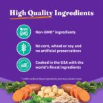 Halo Holistic Vegan Plant-Based with Kelp Recipe Adult Dry Dog Food, photo 6