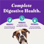 Halo Holistic Vegan Plant-Based with Kelp Recipe Adult Dry Dog Food, photo 7