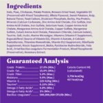 Halo Holistic Vegan Plant-Based with Kelp Recipe Adult Dry Dog Food, photo 10