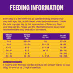 Wellness Complete Health + Turkey & Oatmeal Recipe Dry Dog Food, photo 5