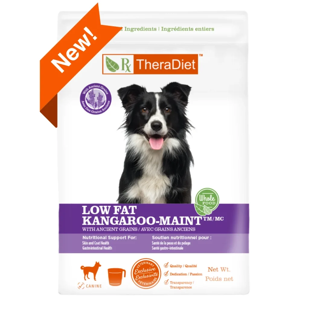 Rayne Nutrition Low Fat Kangaroo-MAINT with Ancient Grains Dry Dog Food