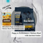 Blackwood Puppy & Performance Growing / Working Dogs Chicken Meal with Ancient Grains Recipe Dry Dog Food, photo 5