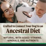 Merrick Backcountry Bone Broth Coated Beef & Bison Dry Dog Food, photo 3