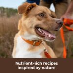 Nature’s Recipe Original Freeze Dried Blend Dry Dog Food, photo 4