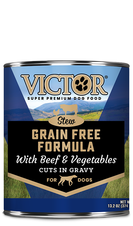 Victor Select Grain Free Cuts Gravy | Beef and Vegetables Stew Wet Dog Food