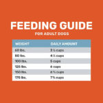 4health Shreds Large Breed Adult Chicken Formula Dry Dog Food, photo 5