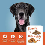 4health Shreds Large Breed Adult Chicken Formula Dry Dog Food, photo 3